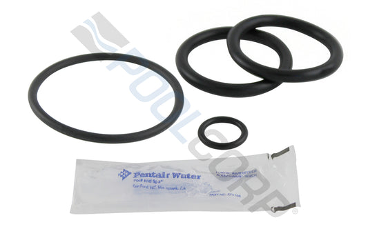 PENTAIR SLIDE VALVE O-RING KIT #273109