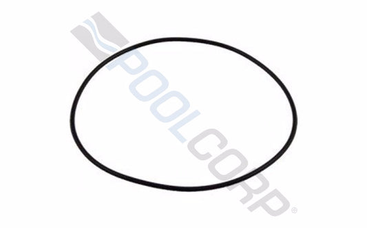 SUPERPRO MULTIPORT VALVE COVER/ PB4 VOLUTE ORING #O-299-9