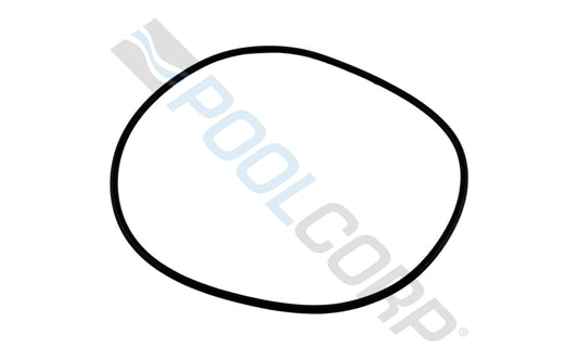 SUPERPRO TAGELUS/ TRITON II/ WFE LID O-RING #O-108-9