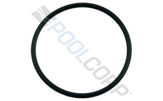 HAYWARD FLUSH UNION ORING #SX200Z3