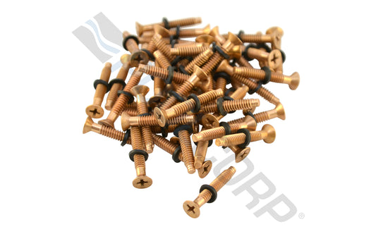 PENTAIR BRASS PILOT SCREW WITH WASHER #79104800