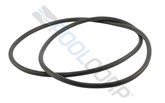 HAYWARD XSTREAM BODY O-RING #CCX1000G