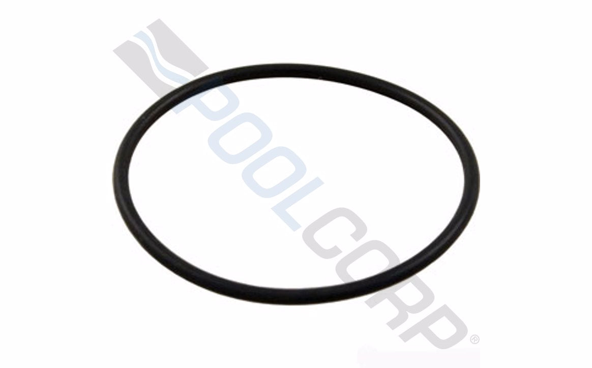 ALADDIN AMP/BAK/PAC O-RING #O-325-9