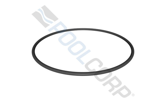 HAYWARD STARCLEAR PLUS FILTER HEAD O-RING #CX900F